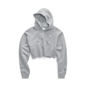 Champion Urban Outfitters Cropped Hoodie (S)